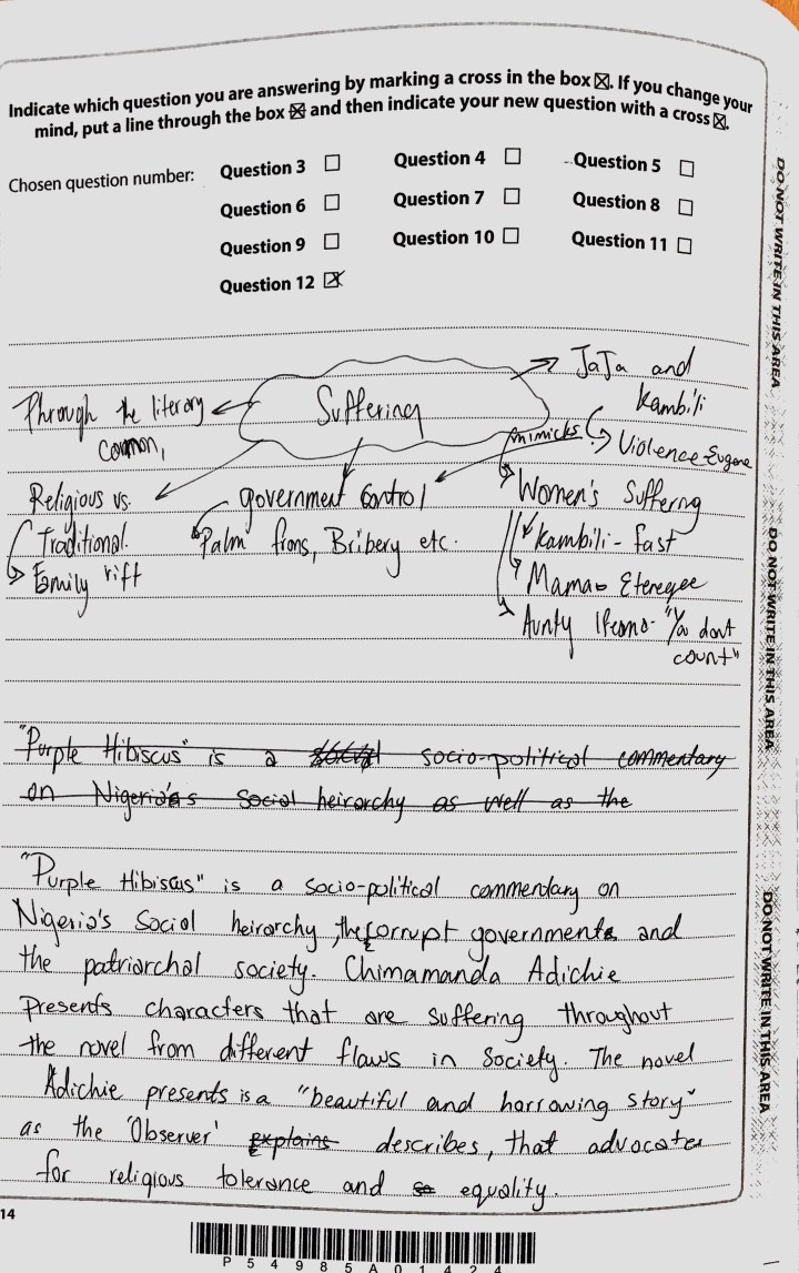 Purple Hibiscus - Suffering Essay (1)